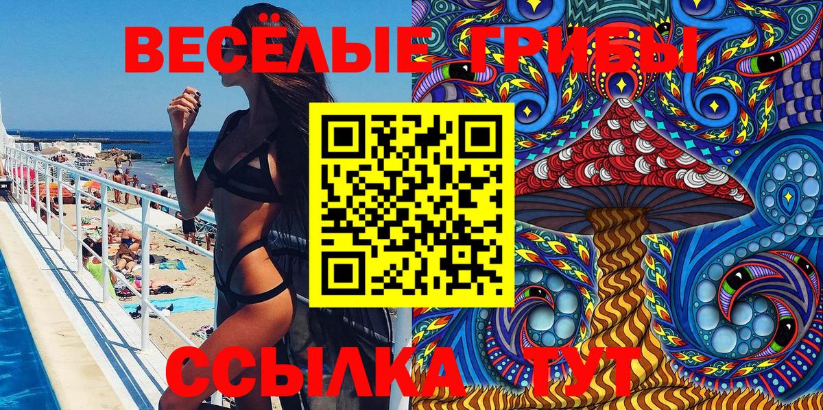 Галлюциногенные грибы Psilocybe  Псилоцибиновые грибы ЛСД  Кингисепп  Вход с VPN 