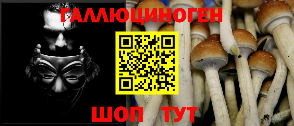 Галлюциногенные грибы прущие грибы Кингисепп